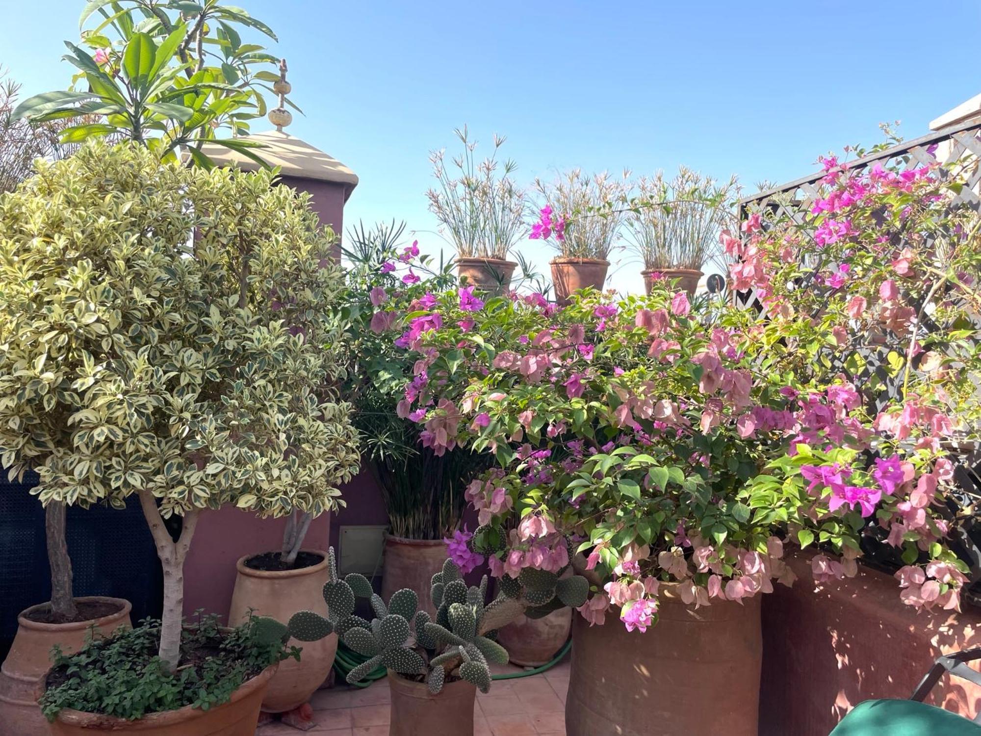 Riad Dar Al Assad Marrakesh Exterior foto
